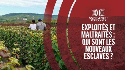 Complément d'enquête Season 24 Episode 3 - Episode 3