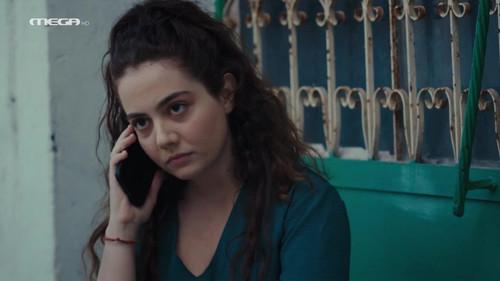 Olive Land Season 3 Episode 13 - Episode 13