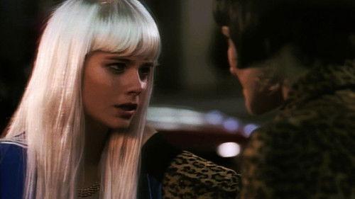 Due South Season 1 Episode 8 - Chicago Holiday (2)