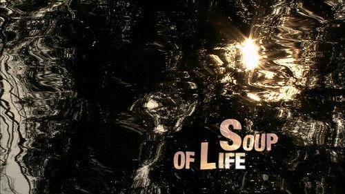 Water Life Season 1 Episode 5 - The Quiet Flow