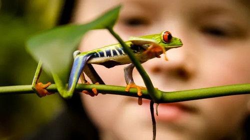 Jonahs dyreverden Season 1 Episode 4 - Episode 4