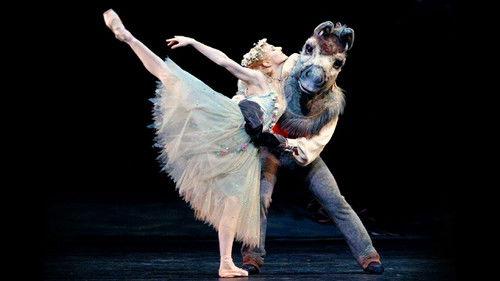 Background image for A Midsummer Night's Dream With Hugh Bonneville