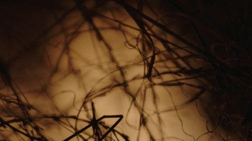 People Magazine Investigates Season 3 Episode 14 - Burned Alive