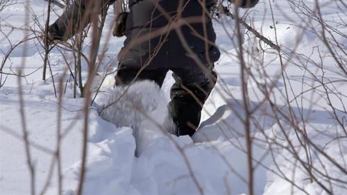 Life Below Zero: Next Generation Season 6 Episode 9 - Free to Roam