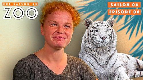 Une saison au zoo Season 6 Episode 6 - Episode 6