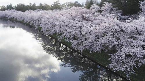 Hometown Stories Season 10 Episode 8 - Spring Splendor in Hirosaki