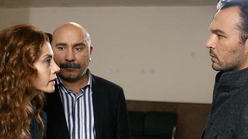 Falling Leaves Season 5 Episode 169 - Episode 169