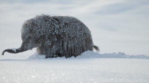 Prehistoric Planet Season 3 Episode 1 - The Big Freeze