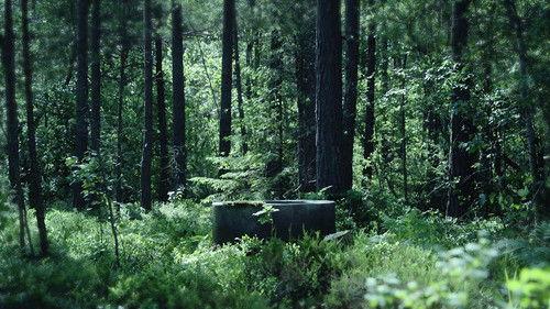 Background image for Episode 1