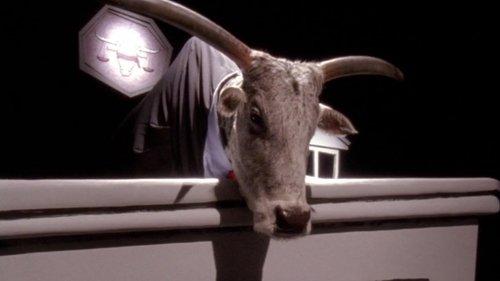 Malcolm in the Middle Season 7 Episode 20 - Cattle Court