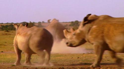 Naked and Afraid Season 11 Episode 5 - Naked and Ghosted