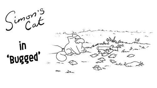 Simon's Cat Season 14 Episode 7 - Bugged