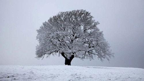 The Great British Year Season 1 Episode 1 - Winter