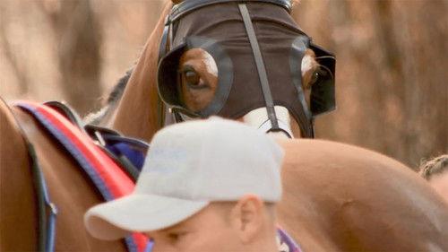 Four Corners Season 58 Episode 22 - Off Track