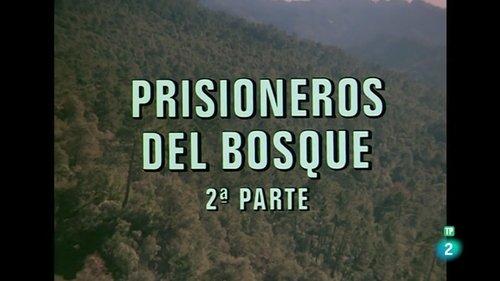 El hombre y la Tierra Season 2 Episode 2 - Prisoners of the forest II