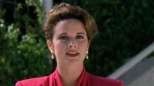 Silk Stalkings Season 3 Episode 5 - Sex, Lies And Yellow Tape