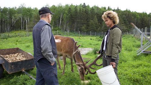 De par chez nous Season 2 Episode 4 - Episode 4