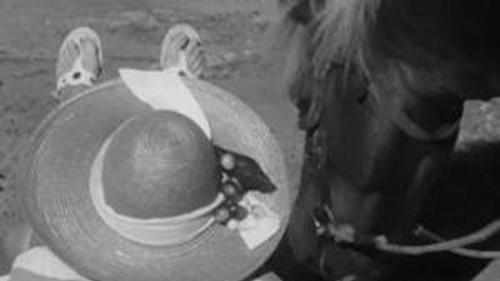 Poly Season 2 Episode 13 - Episode 13