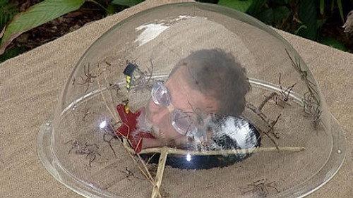 I'm a Celebrity...Get Me Out of Here! Season 7 Episode 19 - Tabletop Terror
