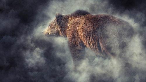 Animal Fight Night Season 5 Episode 6 - Winner Takes All