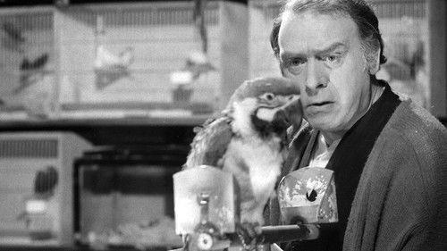 Play for Today Season 4 Episode 12 - Joe's Ark