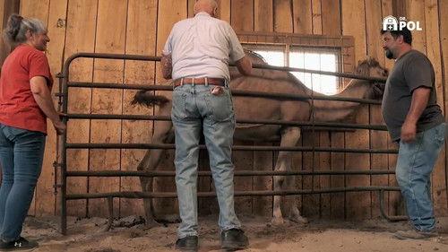 The Incredible Dr. Pol Season 21 Episode 2 - A Hard Day's Bite