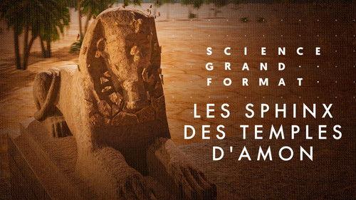 Science grand format Season 8 Episode 21 - Episode 21