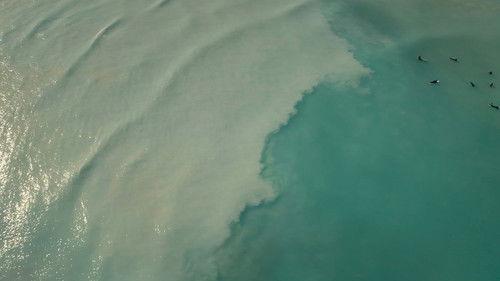 Toxic Tour Season 1 Episode 4 - Episode 4