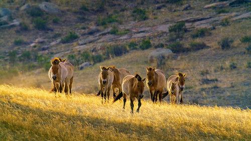 Asia Season 1 Episode 6 - The Arid Heart