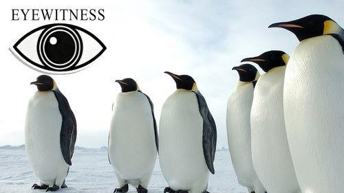 Eyewitness Season 2 Episode 2 - Arctic and Antarctic