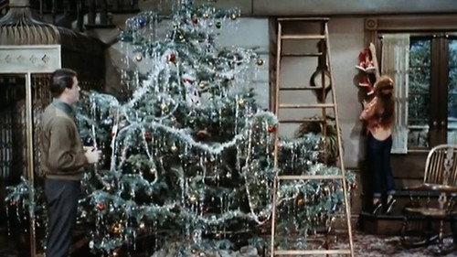 Petticoat Junction Season 4 Episode 13 - The Santa Claus Special