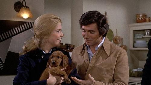 Bridget Loves Bernie Season 1 Episode 23 - The Information Gap