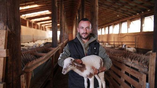 Village United Season 1 Episode 5 - Τροπαιοφόρος Τροπαιούχου