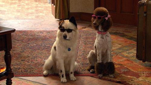 Dog with a Blog Season 3 Episode 21 - Stan Rescues His Princess