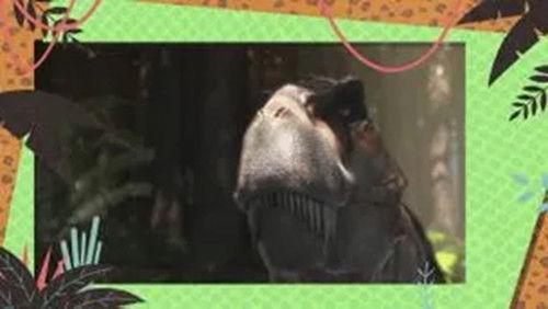 Kukurota Season 1 Episode 1 - Episode 1