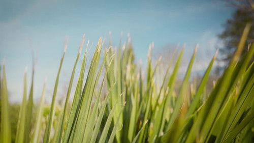 Natur im Garten Season 26 Episode 2 - Episode 2