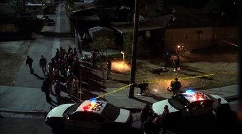 CSI: Crime Scene Investigation Season 5 Episode 10 - No Humans Involved