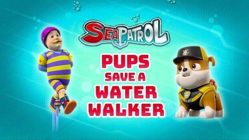 PAW Patrol Season 8 Episode 3 - Sea Patrol: Pups Save a Water Walker
