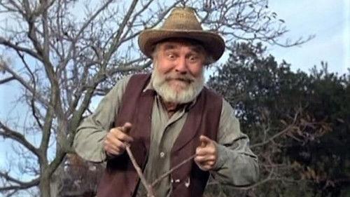 Mayberry R.F.D. Season 2 Episode 16 - The New Well