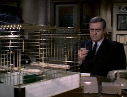 Ironside Season 2 Episode 10 - The Macabre Mr. Micawber