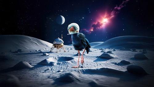 Bird's Eye View Season 2 Episode 7 - Birds in Space