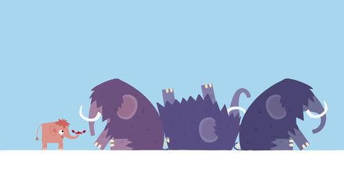 Animanimals Season 2 Episode 20 - Episode 20