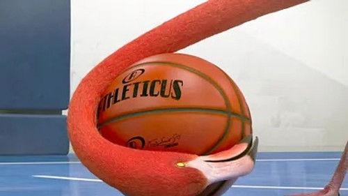 Athleticus Season 1 Episode 6 - Episode 6