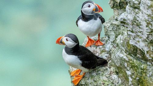 Springwatch Season 24 Episode 4 - Episode 4