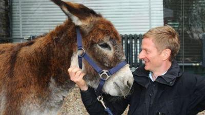 Background image for Mit dem Esel zur Ostsee (1)