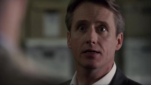 Law & Order Season 20 Episode 15 - Brilliant Disguise