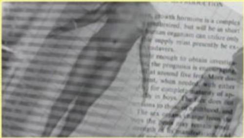 NOVA Season 29 Episode 4 - Sex: Unknown