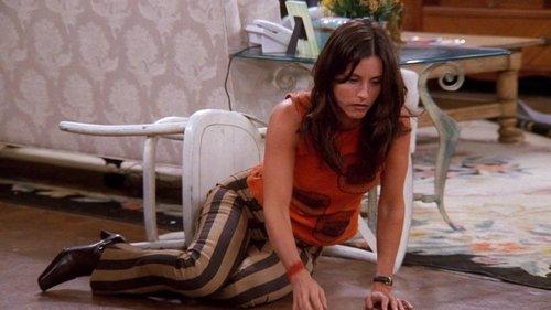 Friends Season 8 Episode 7 - The One with the Stain
