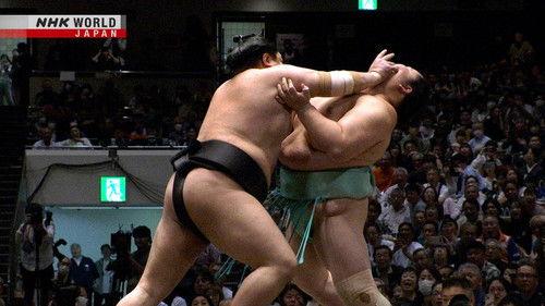 GRAND SUMO Highlights Season 23 Episode 14 - Day 14
