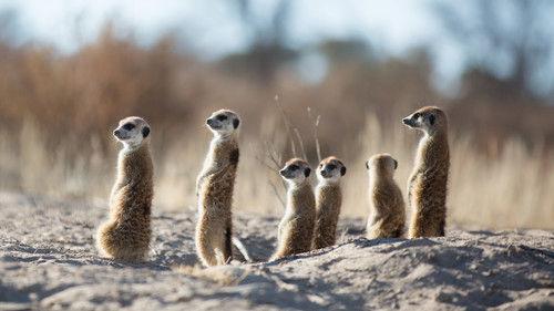 Hostile Planet Season 1 Episode 5 - Deserts